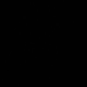 Meet your Posher, Jazmin